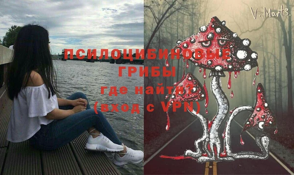 прущие грибы Сафоново