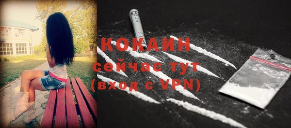 spice Алексин
