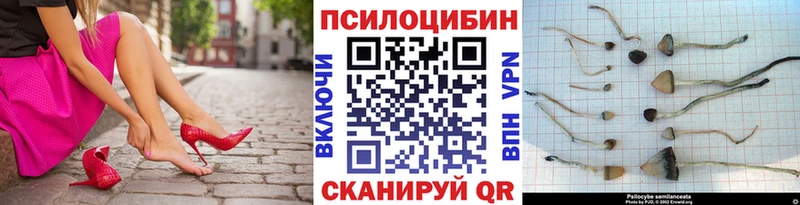 где купить наркотик  kraken маркетплейс  маркетплейс формула  Ипатово  Псилоцибиновые грибы Psilocybine cubensis 